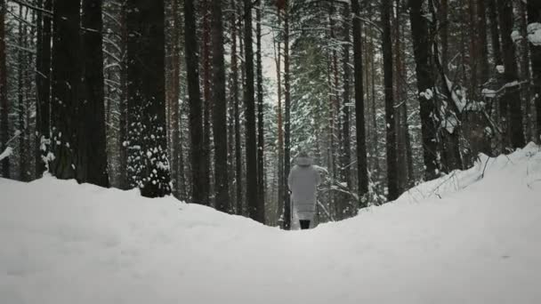 Haciendo un paseo nórdico en el bosque — Vídeos de Stock