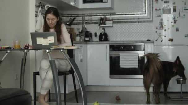 Nő dolgozik otthon, kényelmes konyha — Stock videók