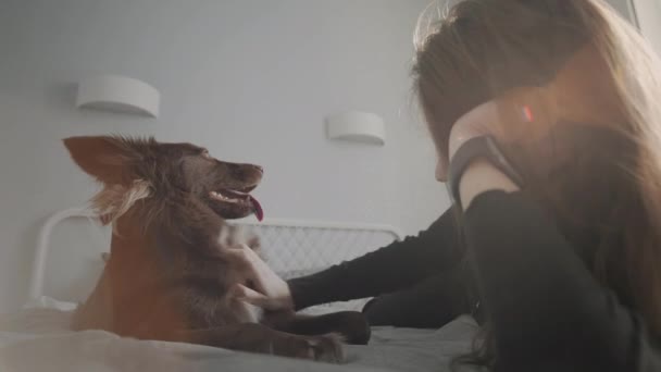 Jeune femme au lit avec son chien — Video