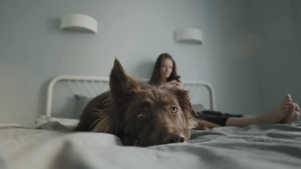 Mujer joven usando su teléfono inteligente cerca de su perro. — Vídeos de Stock