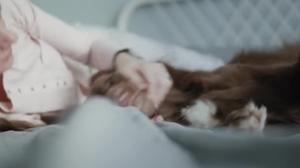 Jeune fille câline au lit avec son chien bien-aimé — Video