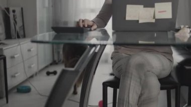 Genç bir kadın evde köpeğinin yanında dizüstü bilgisayarıyla çalışıyor..