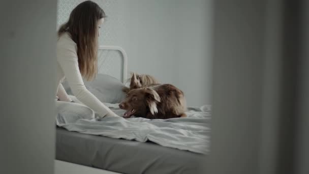 Felice ragazza a letto con il suo cane — Video Stock