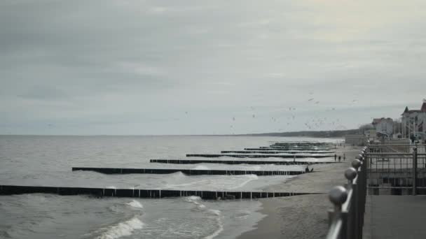 Прогулка вдоль морского побережья осенью — стоковое видео