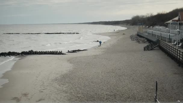 Un bărbat alergând cu un câine — Videoclip de stoc