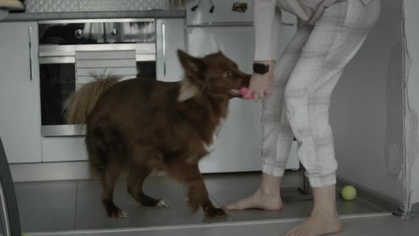 Γυναίκα παίζει με το κατοικίδιο σκυλί της στο σπίτι — Αρχείο Βίντεο