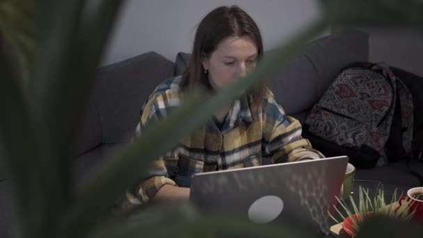 Freelancer mulher trabalhando em casa — Vídeo de Stock