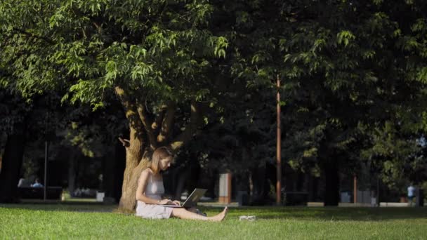 Mujer trabajando con el ordenador portátil en el parque. — Vídeos de Stock