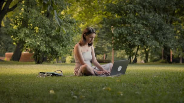 Mujer está trabajando con el ordenador portátil en el parque. — Vídeos de Stock