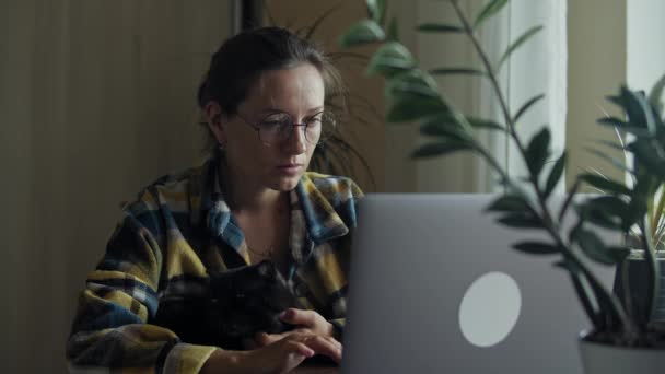 Mulher trabalhando no portátil de casa com animal de estimação — Vídeo de Stock