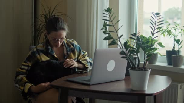 Mujer acariciando su gato en casa oficina — Vídeo de stock