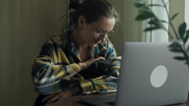 Kvinna Petting hennes katt på hemmakontoret — Stockvideo