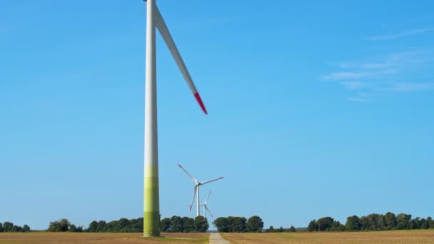 Windturbines in het boerenveld — Stockvideo