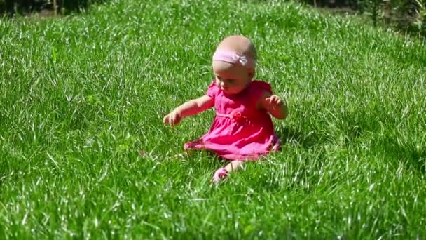 Bébé fille sur une herbe — Video