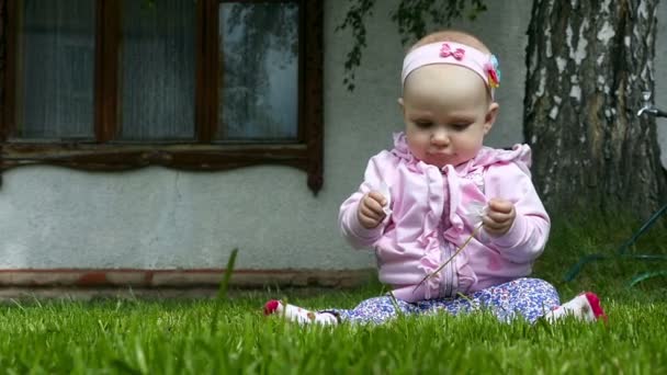 Zeven maand baby speelt op een gazon met een bloem — Stockvideo