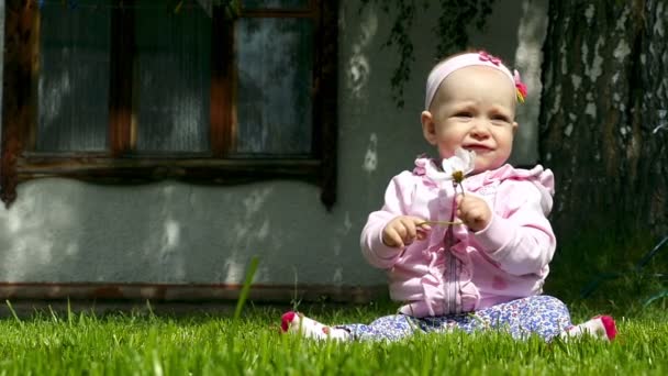 Bebê de sete meses joga em um gramado com uma flor — Vídeo de Stock