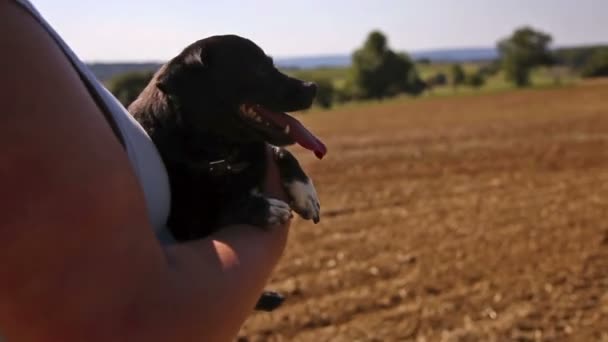 Άνθρωπος φέρει ένα σκυλί στα χέρια — Αρχείο Βίντεο