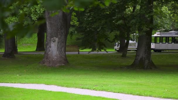 Treintje in stadspark — Stockvideo