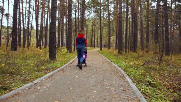 Spaziergang mit dem Kind im Herbst — Stockvideo
