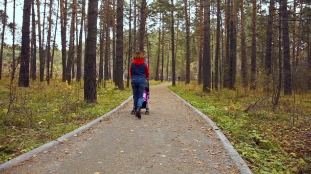 Lopen met het kind in de herfst — Stockvideo