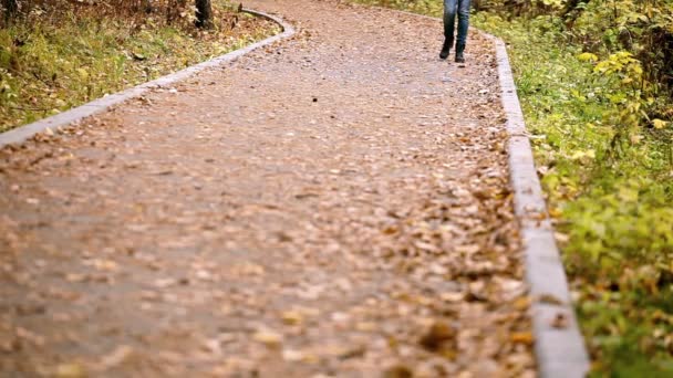 Voeten in herfst park — Stockvideo