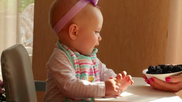 Baby Mädchen isst Brombeere — Stockvideo