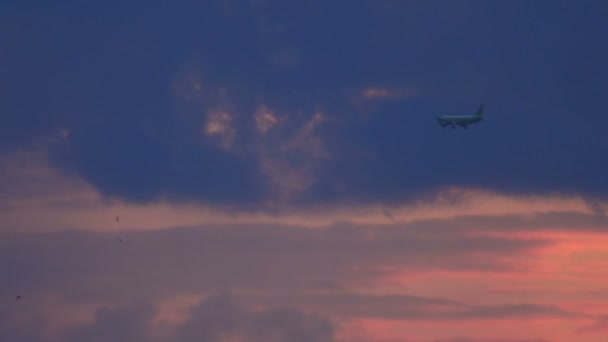 Boeing 737 προσγείωση στο ηλιοβασίλεμα στην πόλη — Αρχείο Βίντεο