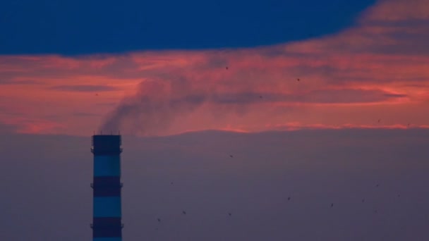 Промышленный город на закате — стоковое видео