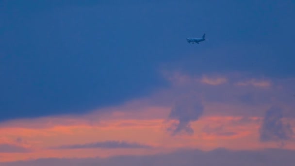 O avião voa ao pôr-do-sol sobre a cidade — Vídeo de Stock