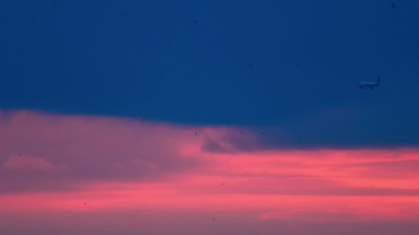 Plane is flying at sunset over the city — Stock Video