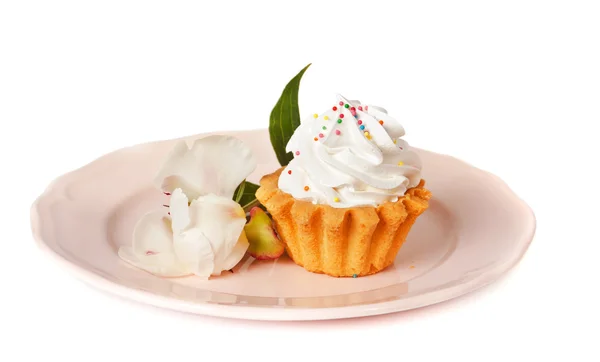 Cake on a pink plate — Stock Photo, Image