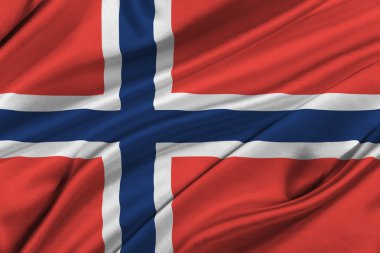 Norveç bayrağı.