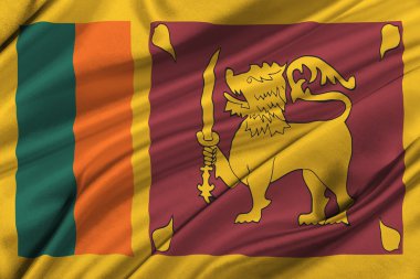 sri lanka bayrağı