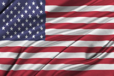 Birleşik Devletler Bayrağı