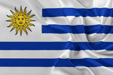uruguay bayrağı.