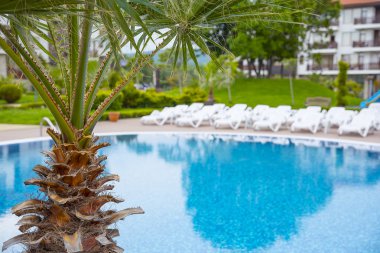 tropikal Yüzme Havuzu.