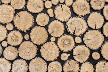 ağaç kütükleri arka plan.