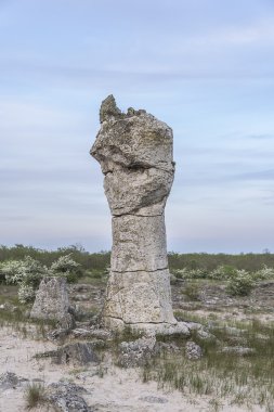 Taş Ormanı, Varna.