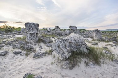 Taş Ormanı, Varna.