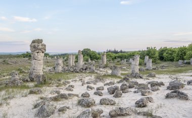 Taş Ormanı, Varna.