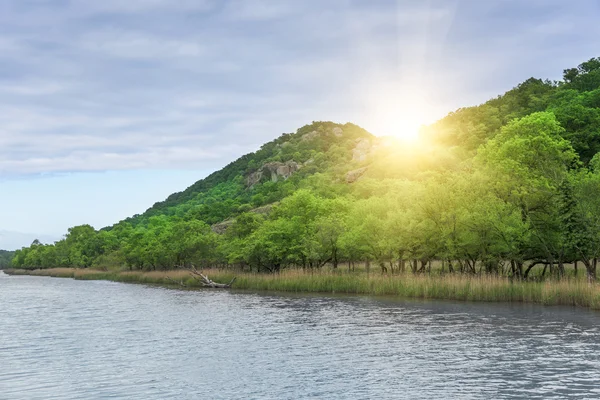 River Ropotamo in Bulgaria. — Stock Photo, Image