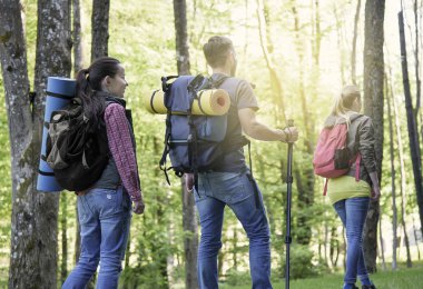 yürüyüşçü orman.