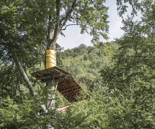 ZIP-line için platform. — Stok fotoğraf