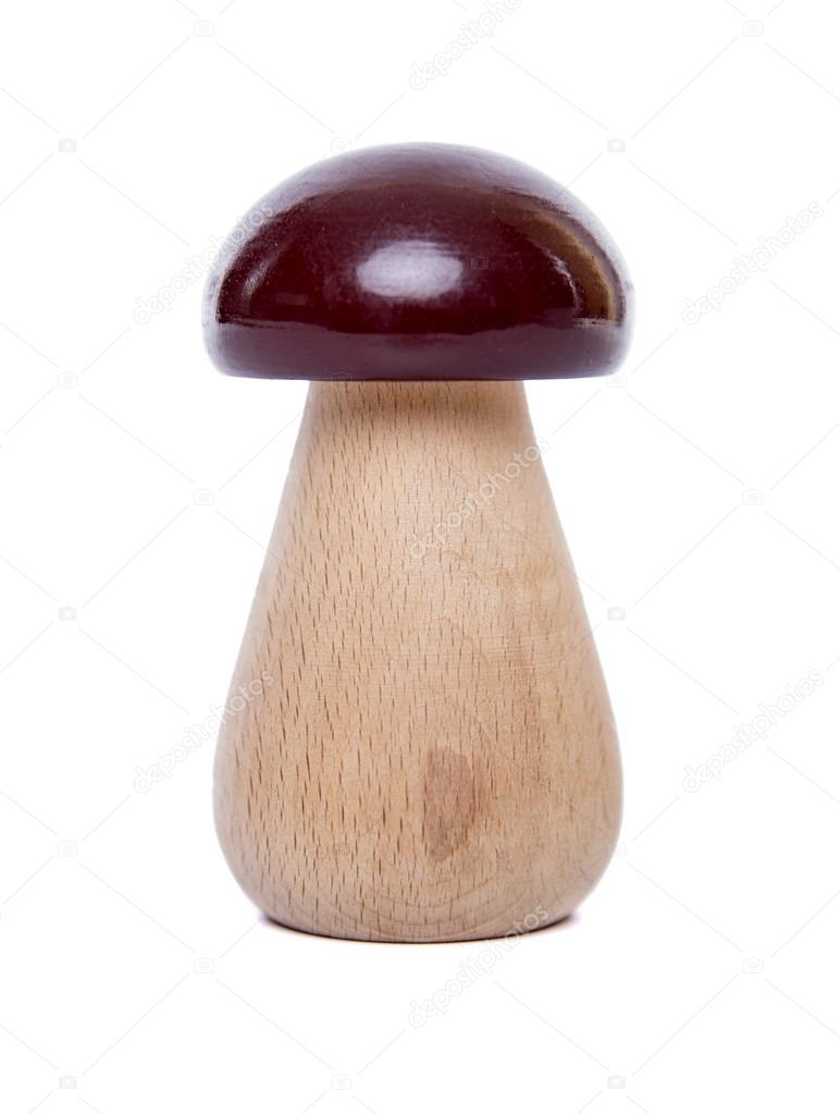 White mushroom isolated.