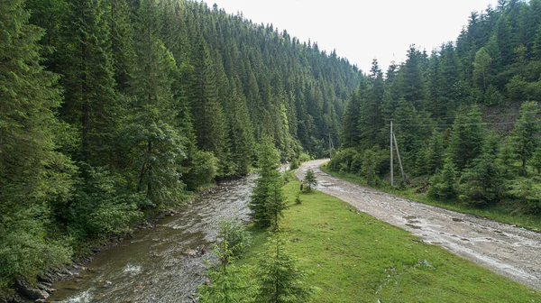 Wald und Fluss aus der Vogelperspektive. Foto aus der Drohne. — Stockfoto