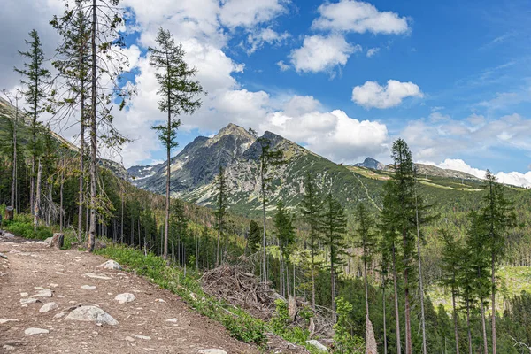 Landschaft der Hohen Tatra. — Stockfoto