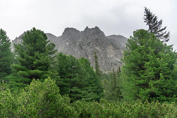 Paisagem do alto tatras eslovaco. — Fotografia de Stock