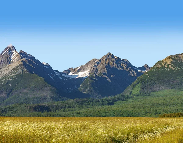 Landskap i den slovakiska Tatrabergen. — Stockfoto