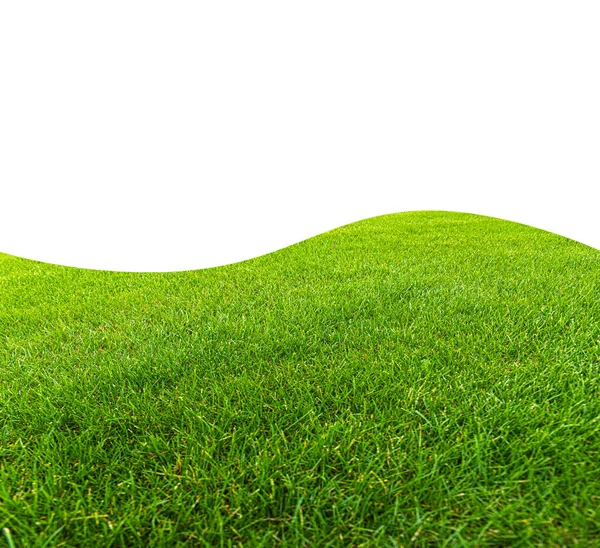 Grünes Gras als abstrakter Hintergrund auf weißem Hintergrund — Stockfoto