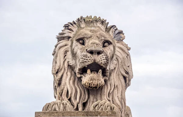 Leeuwenbeeld in Boedapest, Hongarije. — Stockfoto